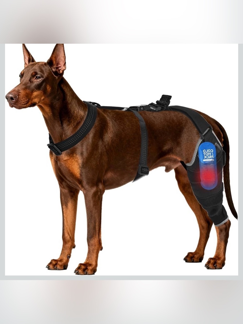 Dog Knee Brace For Back Leg -Canine Leg Wrap With Hot & Cold Gel Packs 1061/bb6